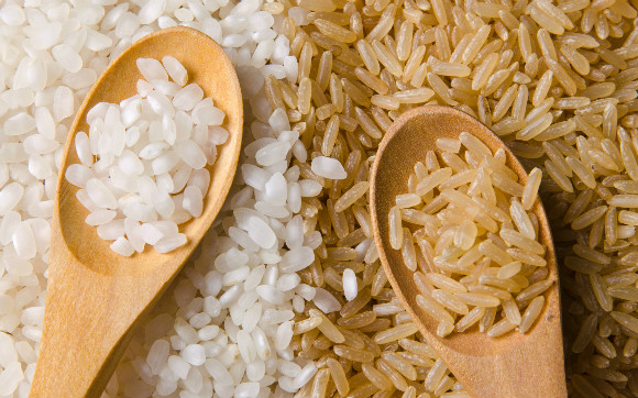 d1300ed24d8f55a5a510a95888391f4f