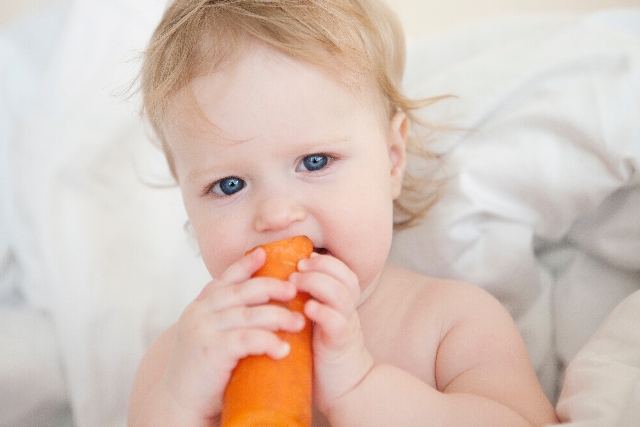 %e4%ba%ba%e5%8f%82%e3%82%92%e5%99%9b%e3%82%80%e8%b5%a4%e3%81%a1%e3%82%83%e3%82%93